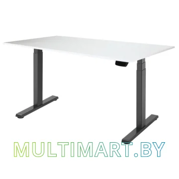 Стол для работы стоя ErgoSmart Ergo Desk Pro 1380x800x18 мм (альпийский белый/черный)